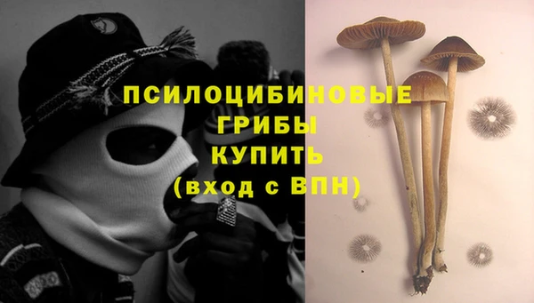 шишки Алексин