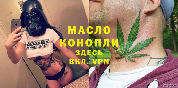 индика Абдулино