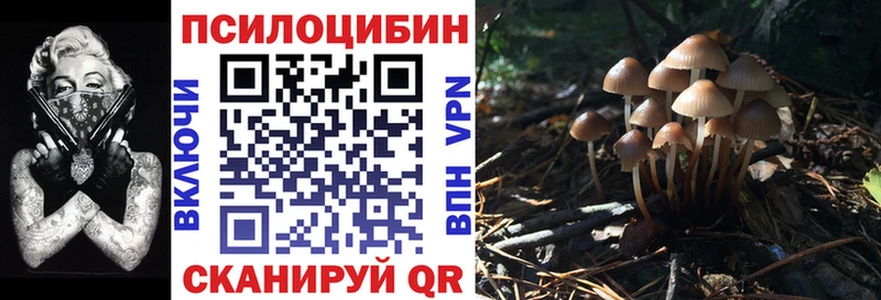 кракен ССЫЛКА  Красково  Галлюциногенные грибы MAGIC MUSHROOMS 